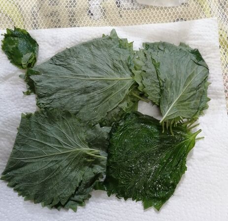 BIMG_20221012_164020