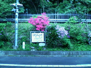 イメージ 1