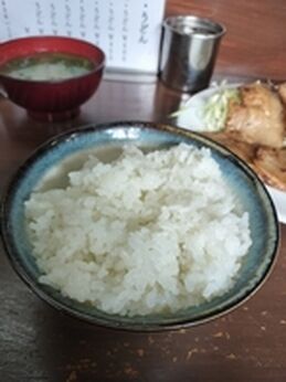 Qsanoya2