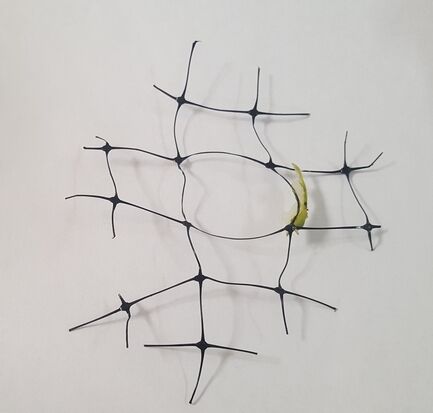 20210726_094218