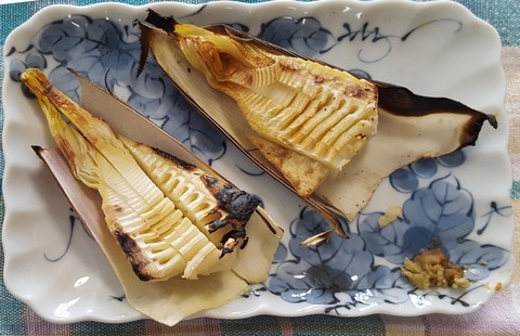 20210412_120440_0000