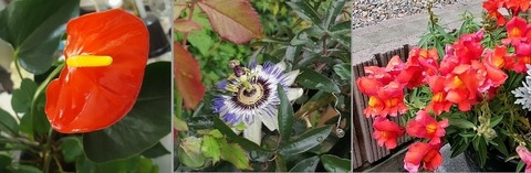 IMG_20200523_103935_3