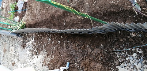 IMG_20210316_162203xzx