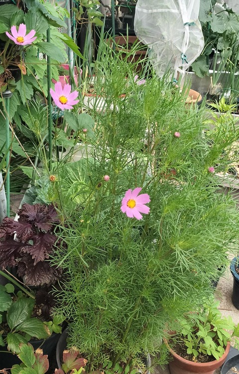 IMG0260615180027