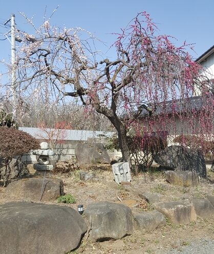 B20230311_101438