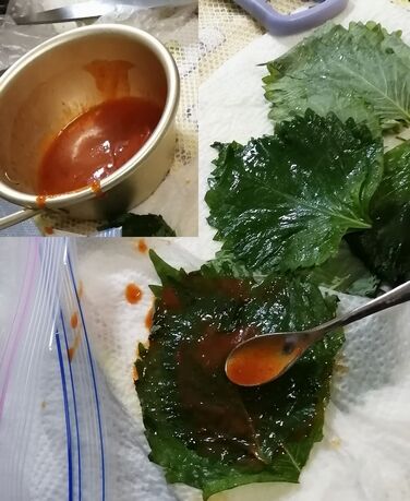 BIMG_20221012_165430