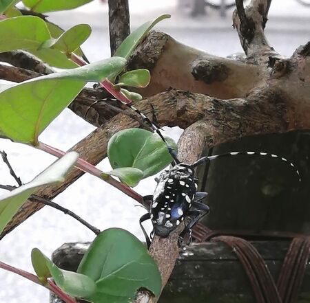 IMG_20210625_165128wh