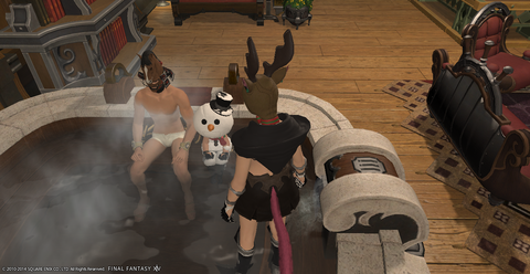 ffxiv_20140102_021431