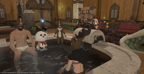 ffxiv_20140102_021514