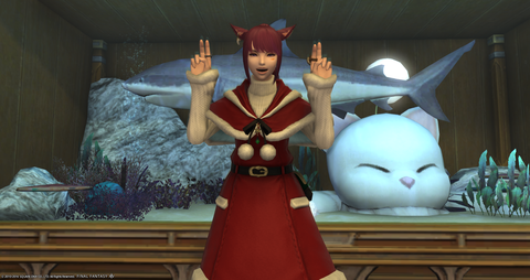 ffxiv_20161228_021547