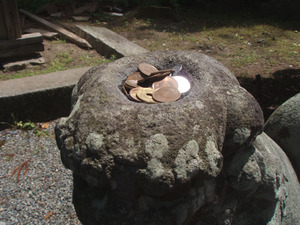 皿