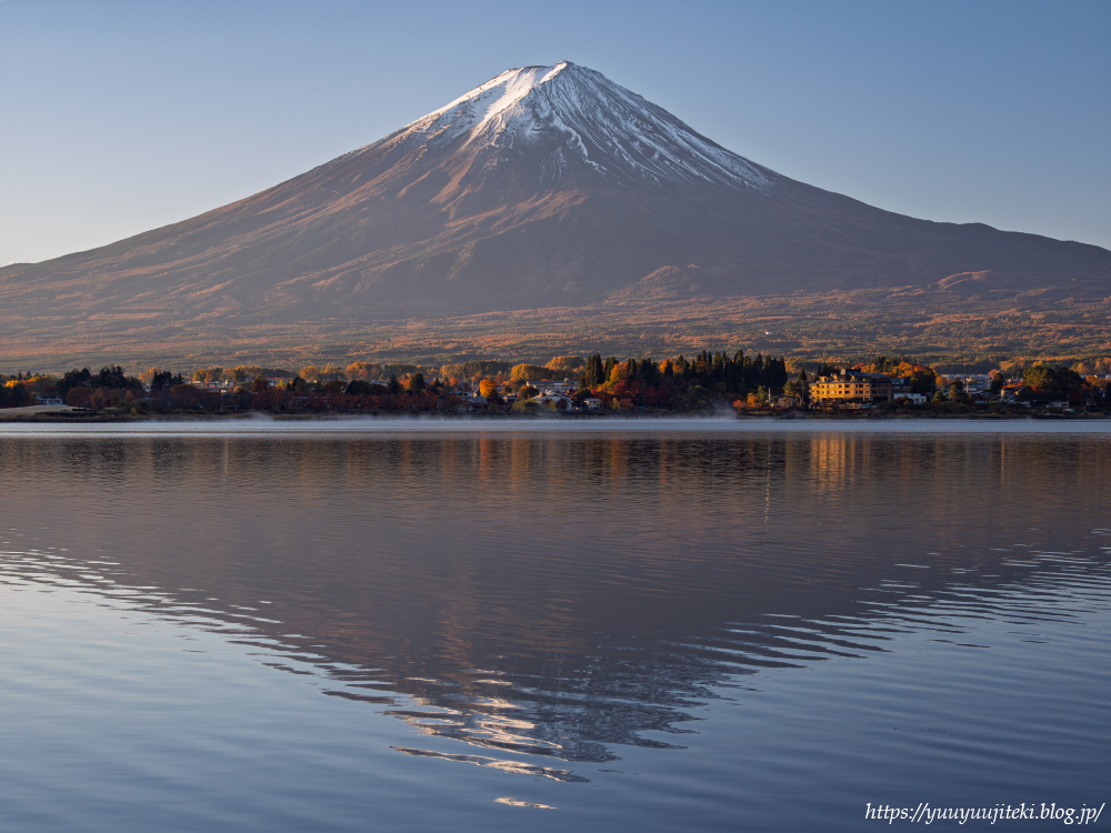 富士山麓の紅葉（河口湖～西湖～朝霧高原～田貫湖～精進湖）：2025