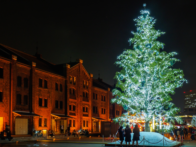 みなとみらいのクリスマスイルミネーション ２０１６年１２月２０日 悠々自適生活
