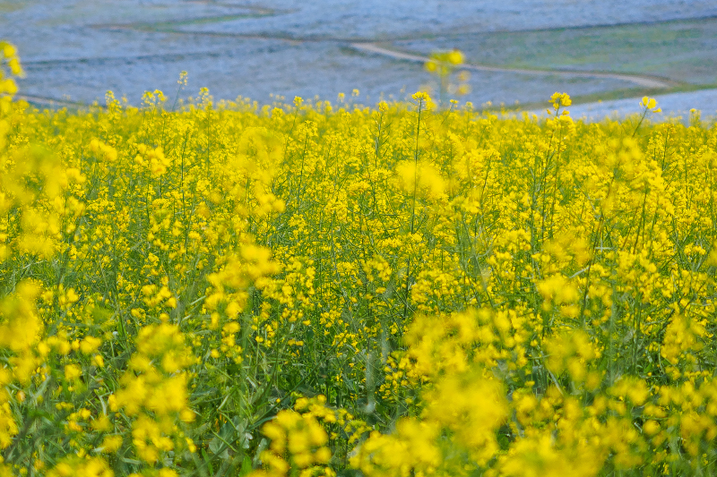 P5030136
