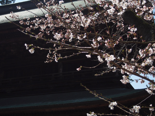 円覚寺(4)