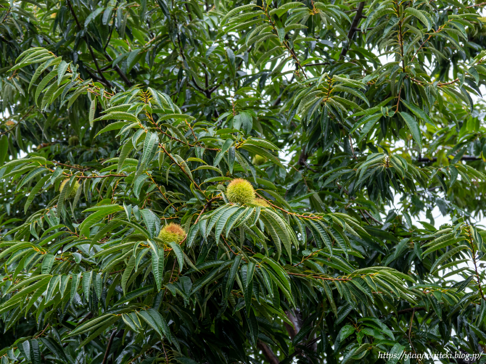 P9260703