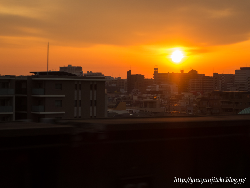 IMG_0009