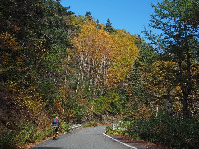 かもしかゲレンデ付近の紅葉(5)