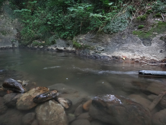 滝の湯 投湯口