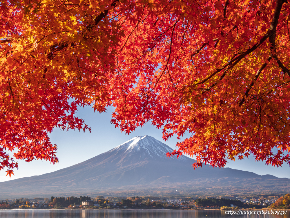 富士山麓の紅葉（河口湖～西湖～朝霧高原～田貫湖～精進湖）：2025