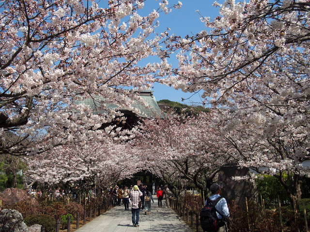 建長寺(1)