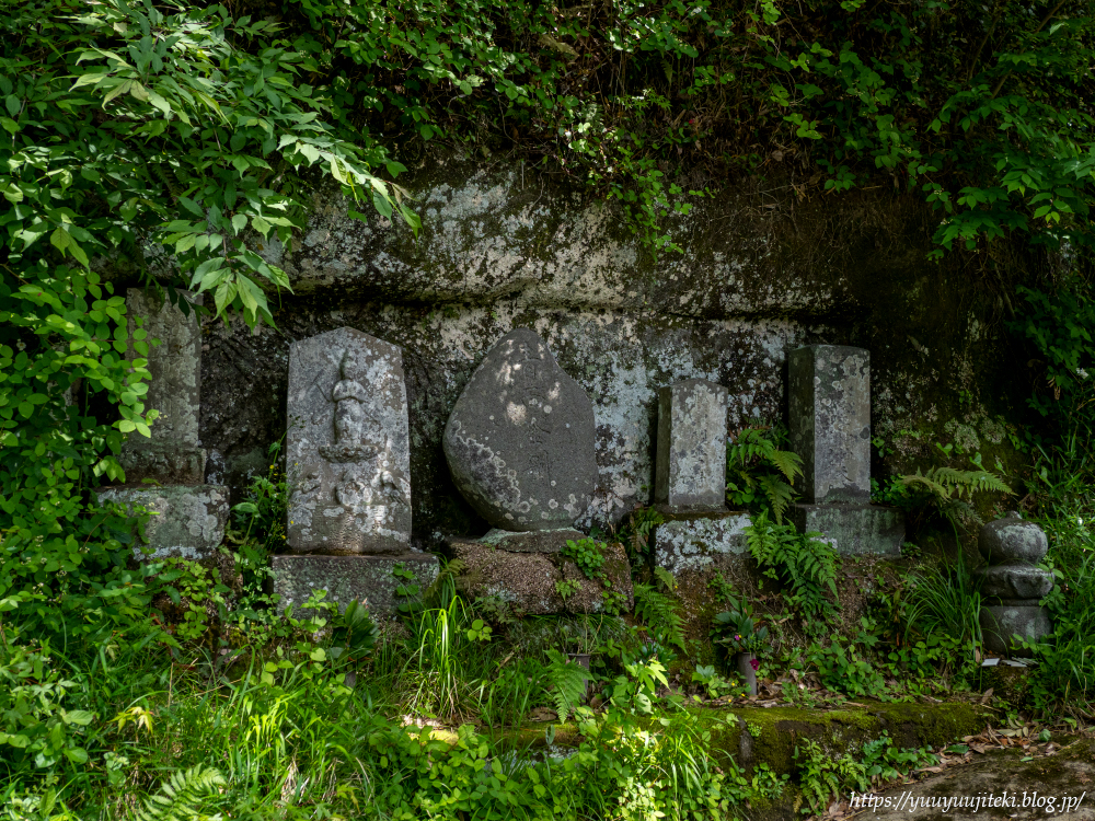 P5040133