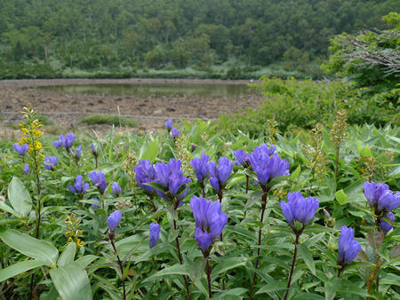 鏡池(3)