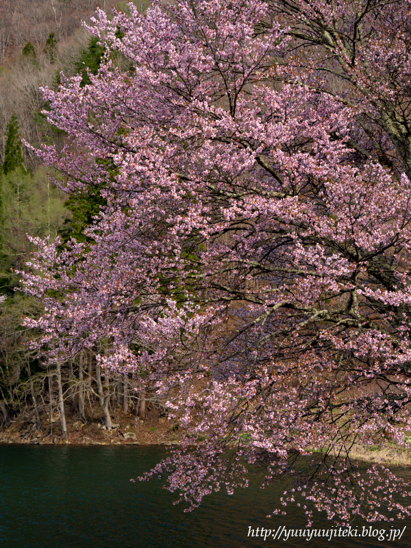 P5030176