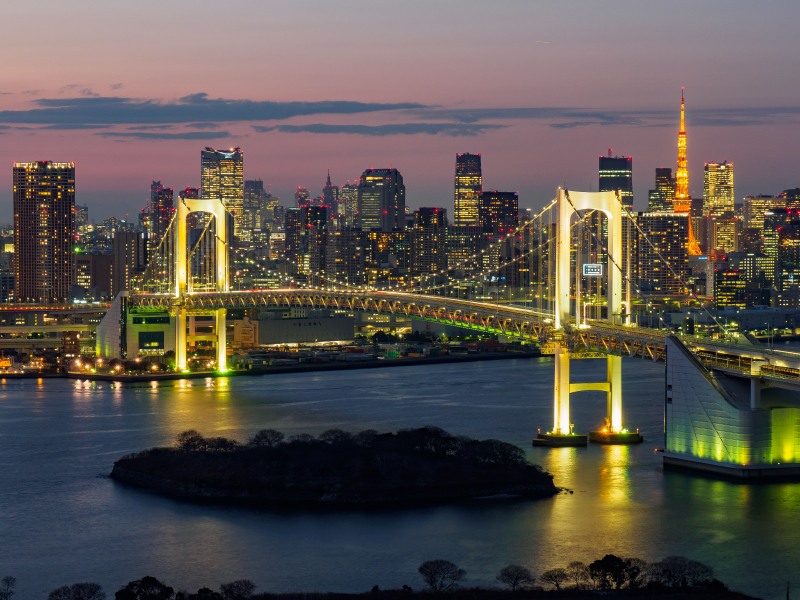 お台場からのレインボーブリッジと東京タワーの夜景 2017年1月19日 悠々自適生活 お台場からのレインボーブリッジと東京タワーの夜景 2017年1月19日 悠々自適生活