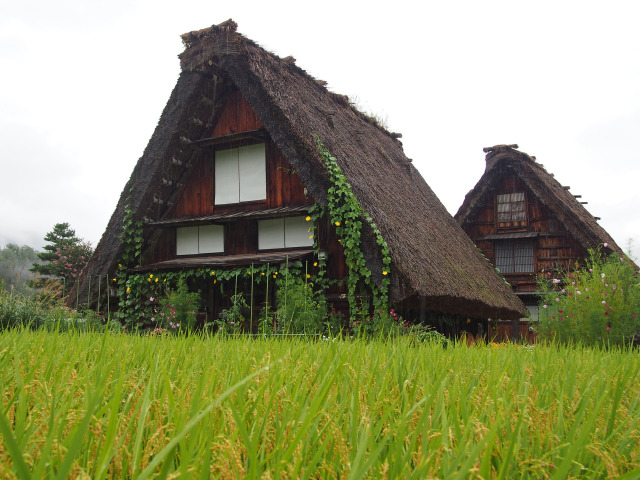 白川郷(4)