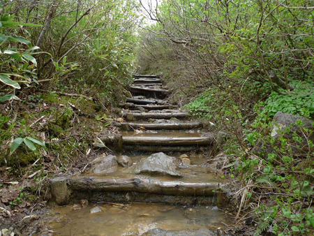 登山道