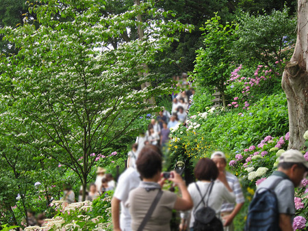 長谷寺(1)