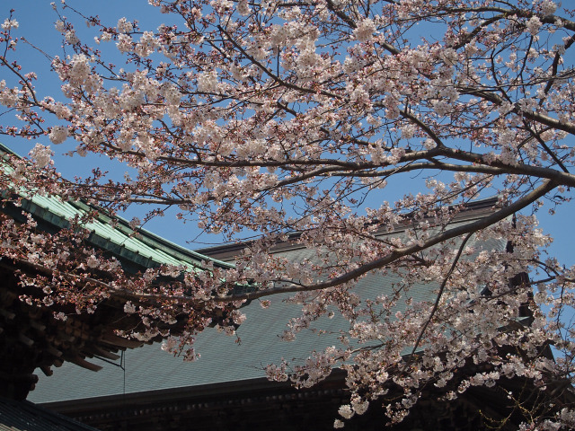 建長寺(5)