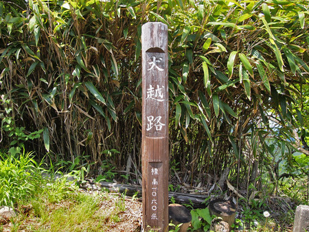 犬越路