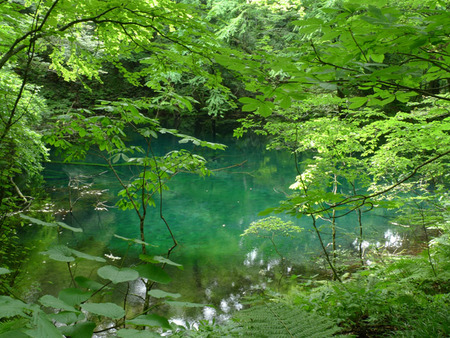沸壺の池
