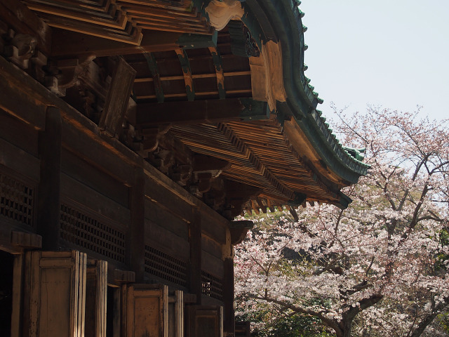 建長寺(6)