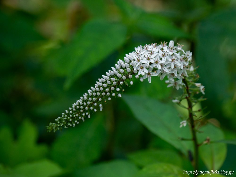 P7240770