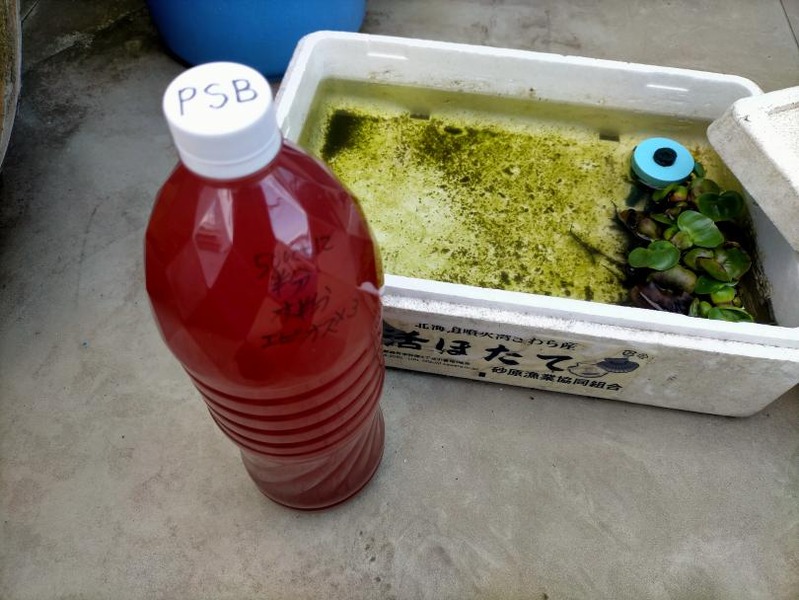 変換 ～ IMG20220528164636