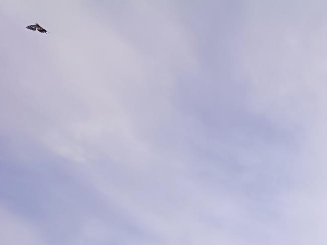 変換 ~ IMG_20251018_142547124s