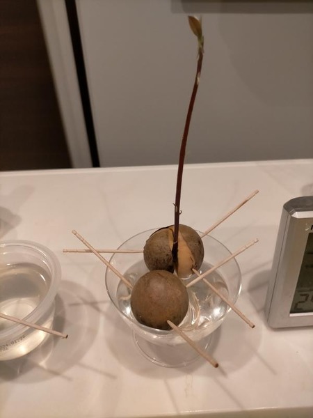 変換 ~ IMG20231017211313