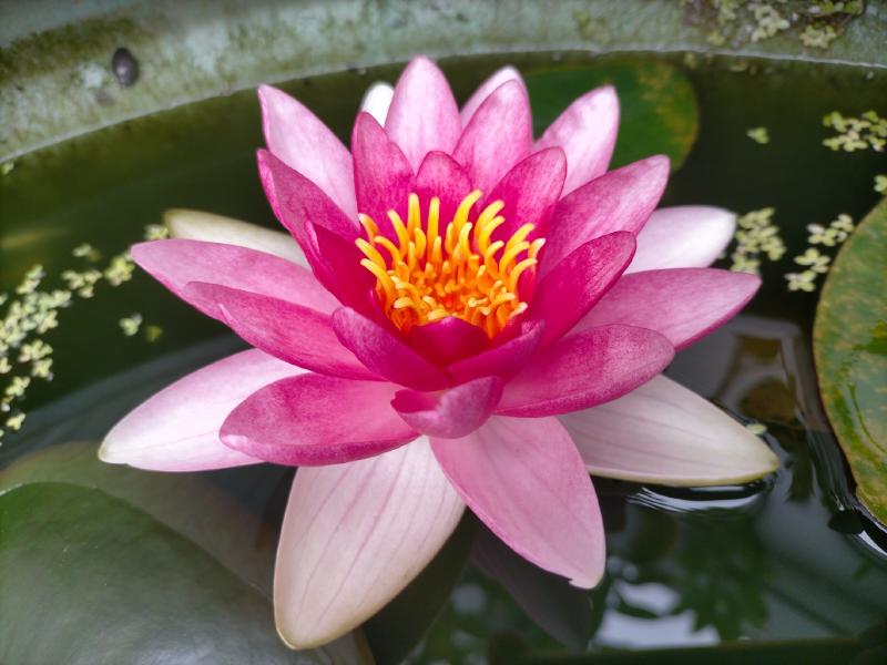 変換 ～ IMG20230531101654