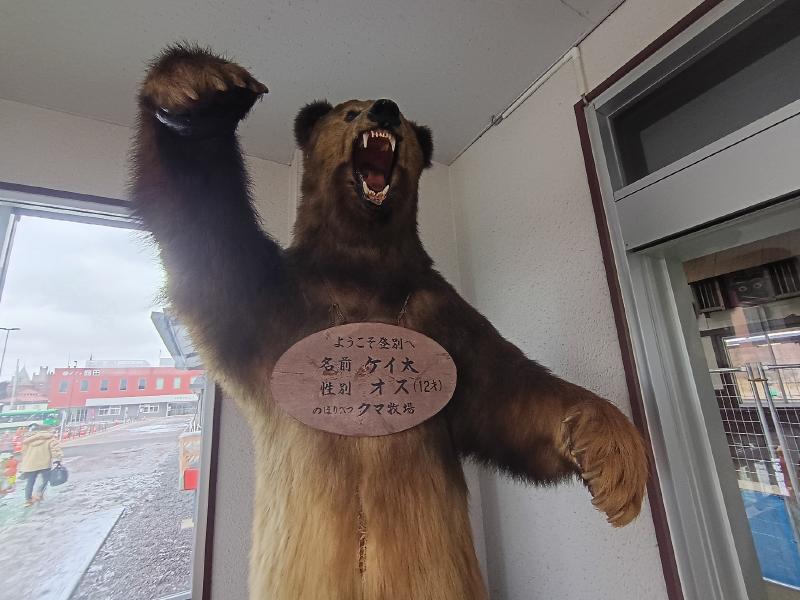 変換 ～ IMG_20251119_103405202_HDR