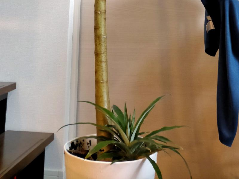 変換 ~ IMG20211017135106-1