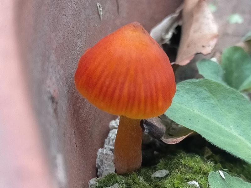 変換 ~ 名称未設定 1