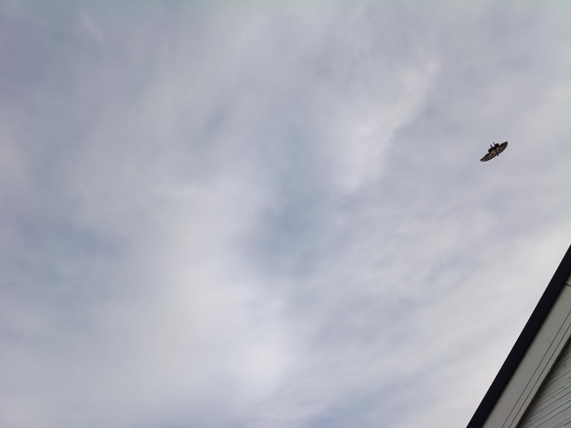 変換 ~ IMG_20251018_142550849