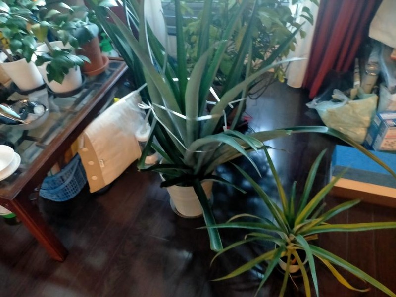 変換 ~ IMG20241104160922