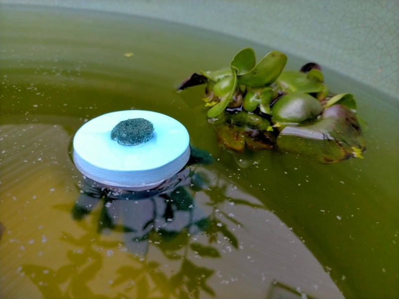 変換 ~ IMG20220430171143