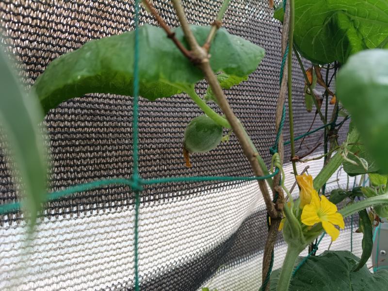 変換 ~ IMG_20250913_094711467