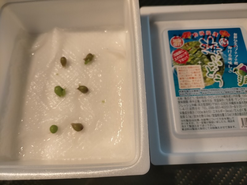 変換 ~ IMG20221024153120