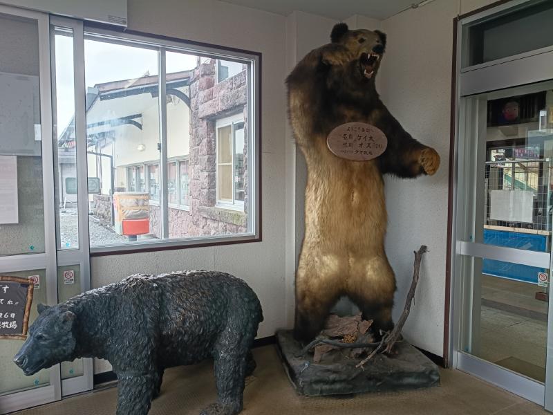 変換 ～ IMG_20251119_103341001_HDR